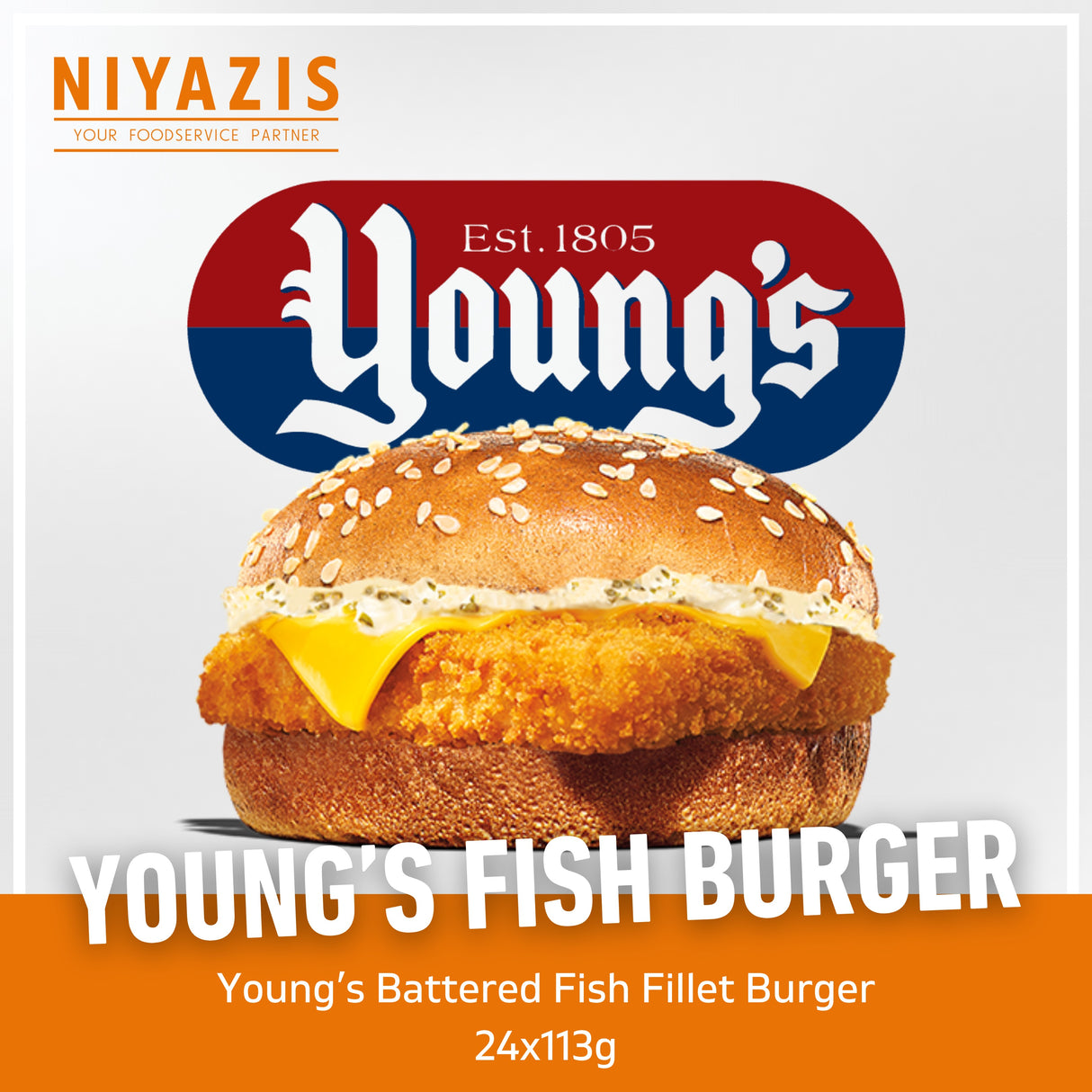 Young’s Battered Fish Fillet Burger 24x113g