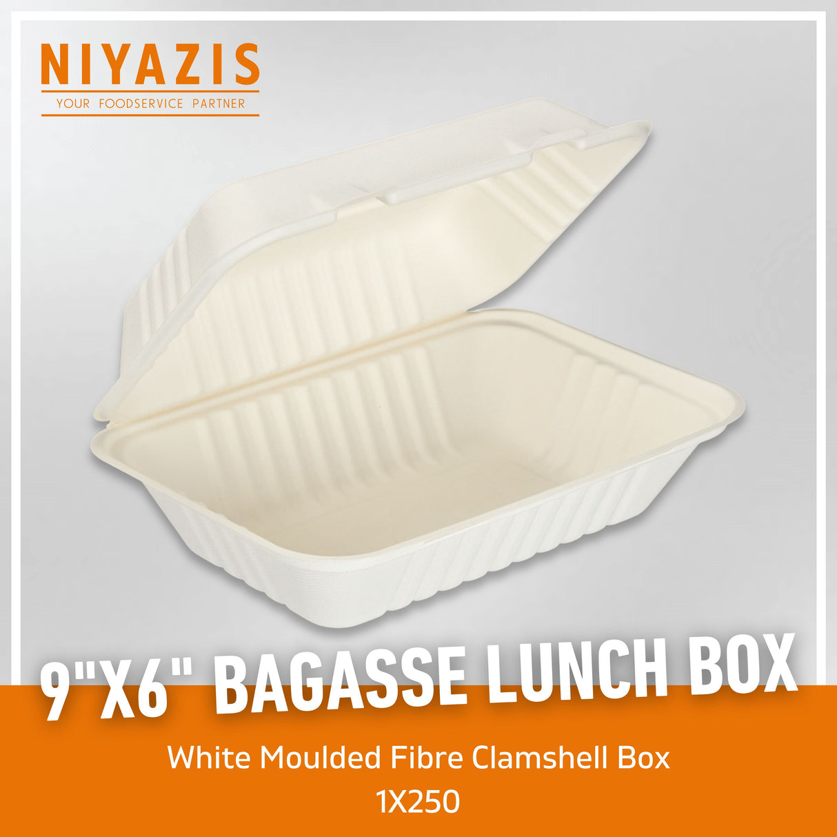 9"X6" Bagasse Food Box - 1x250