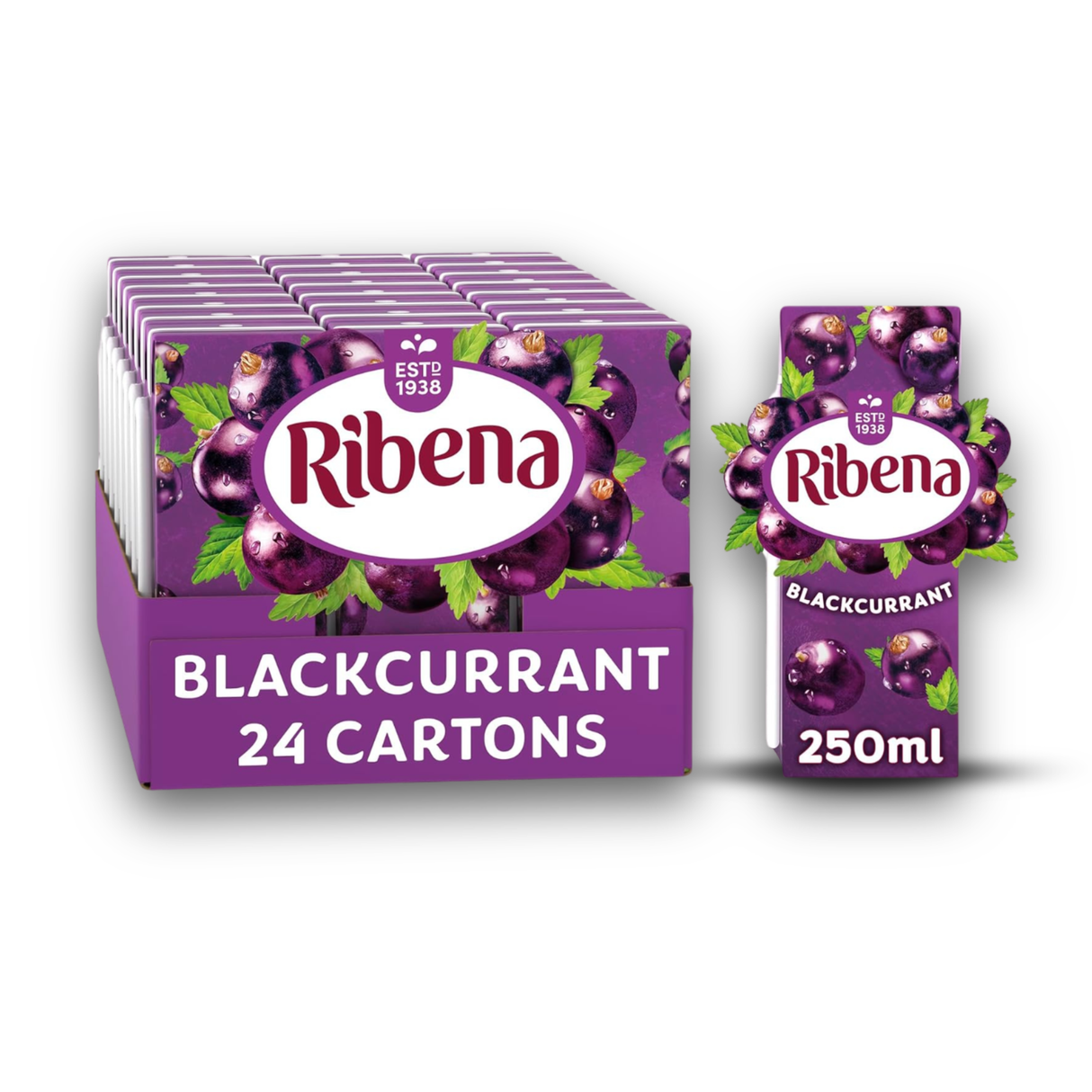 Ribena Blackcurrant-(TET)-24X250ml